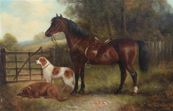 William Howard Hardy (19th C.) Studies of horses and gundogs 15 x 23in.